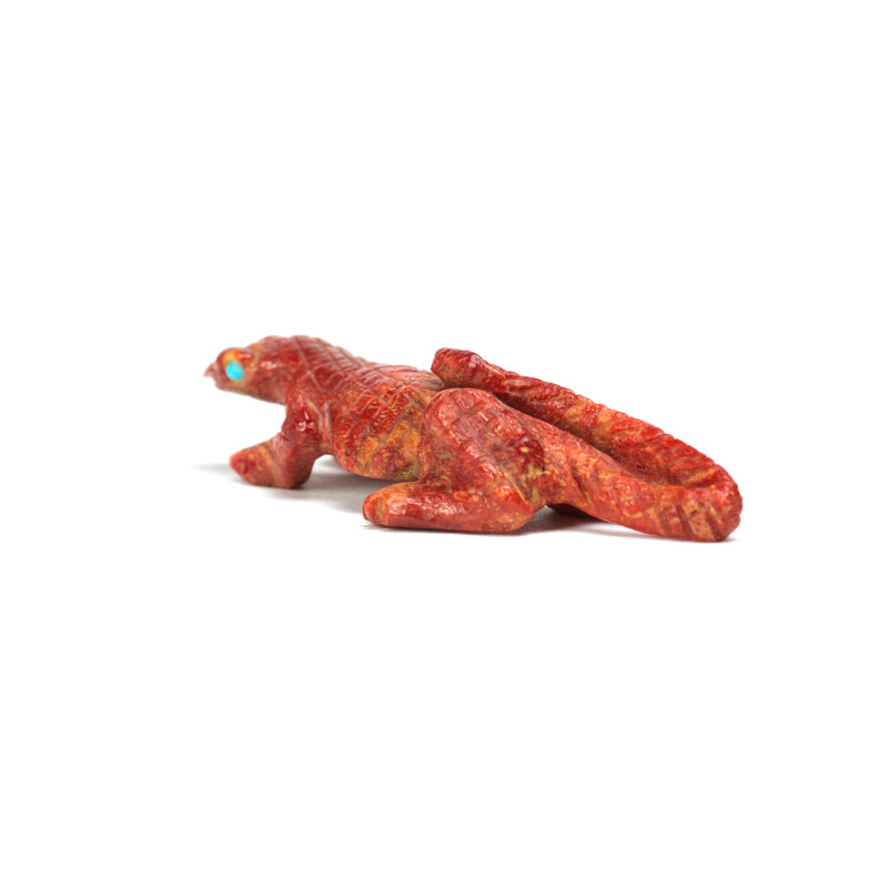 Michelle Cheama: Apple coral, Lizard