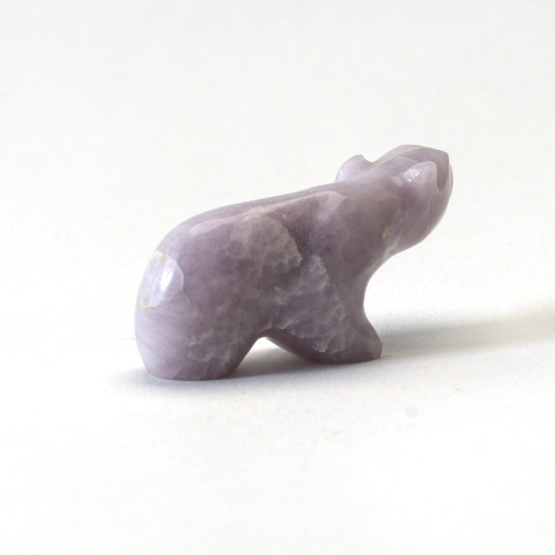 Melvin Sandoval: Young Fluorite, Bear