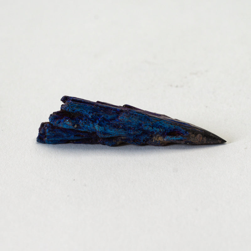 Abby Panteah: Titanium Kyanite, Hedgehog