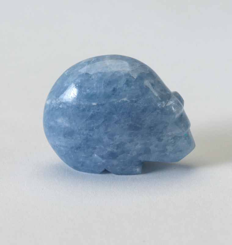 Abby Panteah: Blue Calcite, Bear