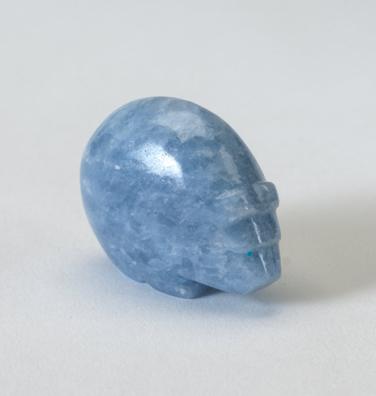 Abby Panteah: Blue Calcite, Bear