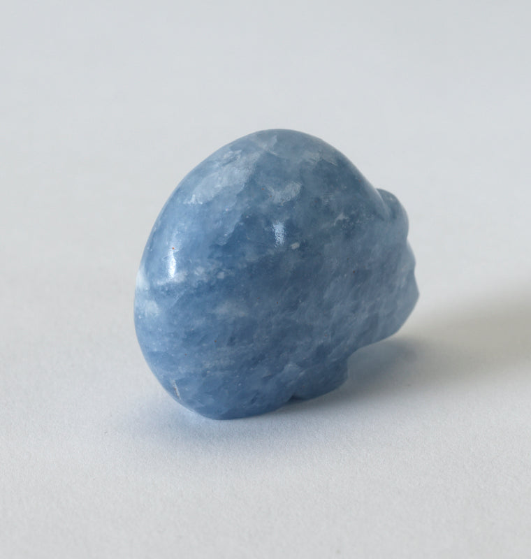 Abby Panteah: Blue Calcite, Bear