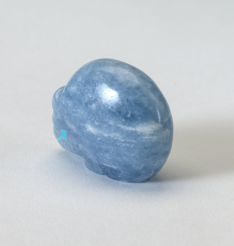 Abby Panteah: Blue Calcite, Bear