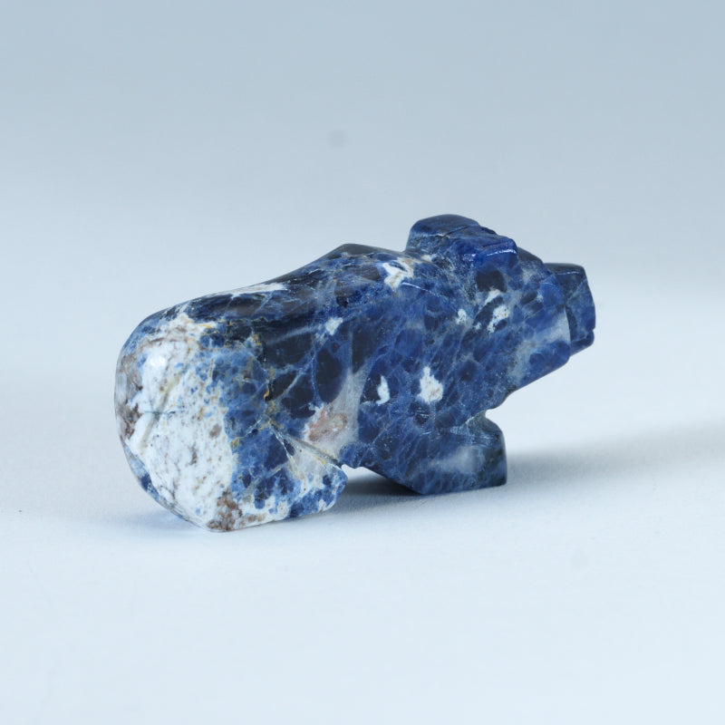 Danny Lonjose: Sodalite, Bear