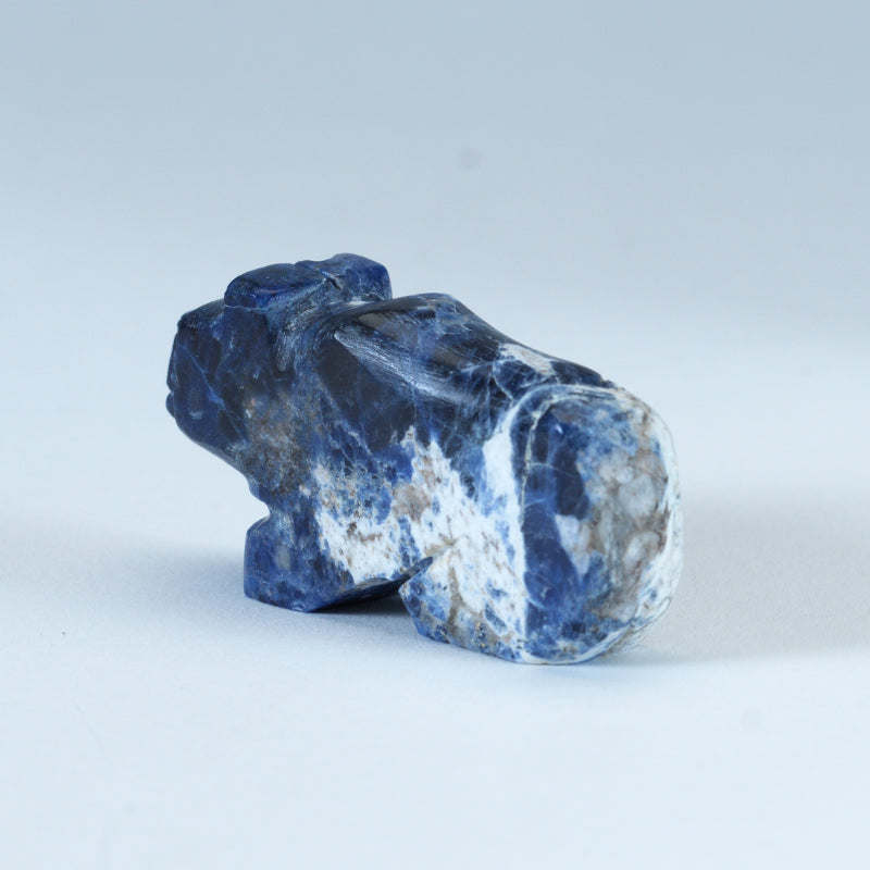 Danny Lonjose: Sodalite, Bear