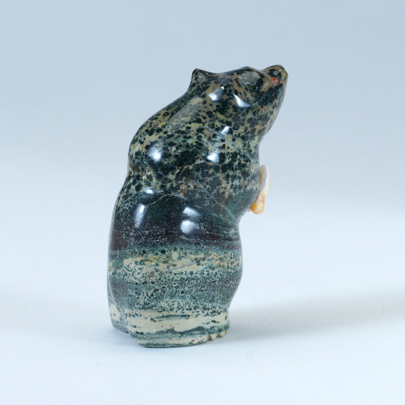 Brian Yatsattie: Augite, Bear