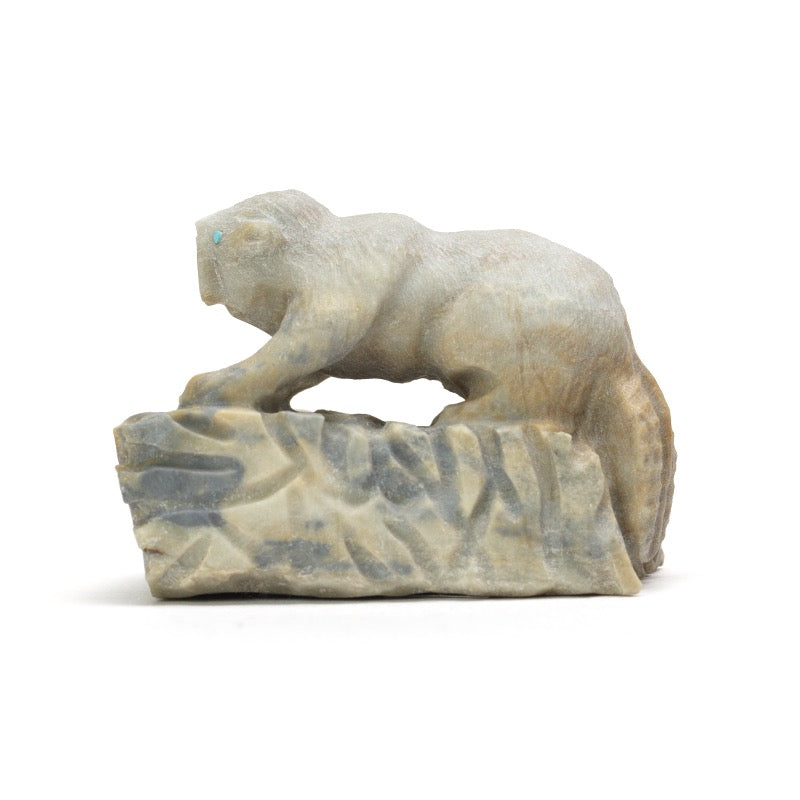 Adrian Cachini: Picasso Marble, Beaver