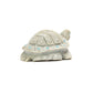 Adrian Cachini: Picasso Marble, Turtle