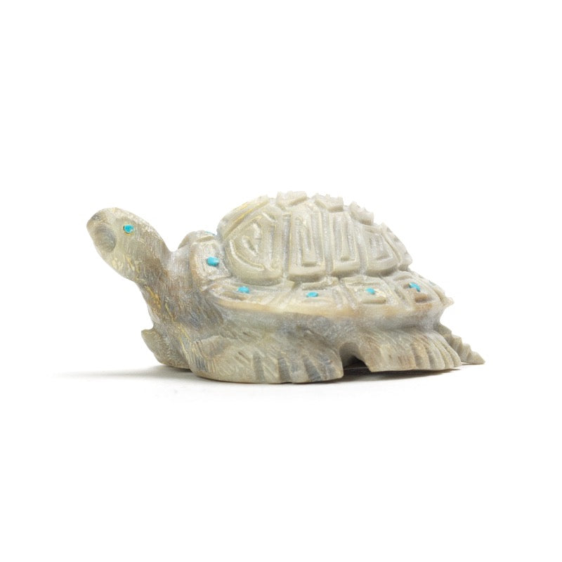 Adrian Cachini: Picasso Marble, Turtle