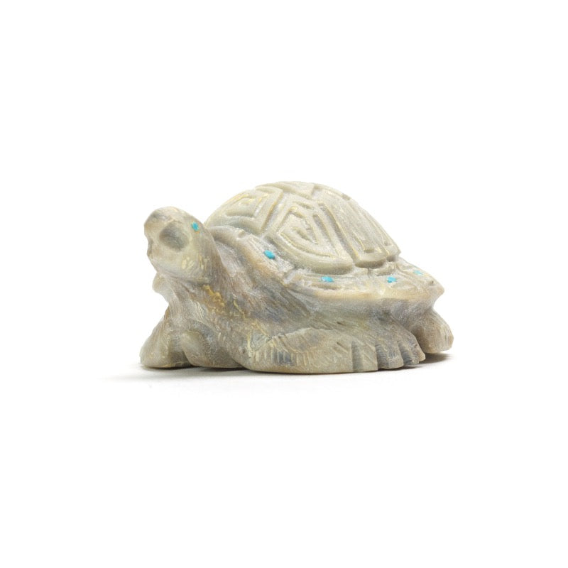 Adrian Cachini: Picasso Marble, Turtle