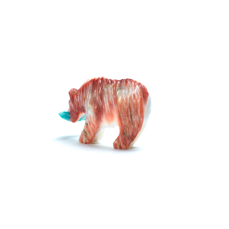 Andres Quandelacy: Spiney Oyster, Bear With Turquoise Fish