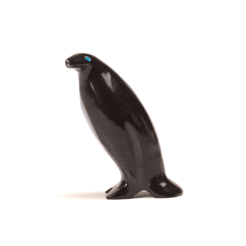 Calvert Bowannie: Black Jet, Penguin with Turquoise Eyes