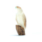 Stewart Quandelacy: Fossilized Ivory, Eagle