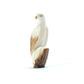 Stewart Quandelacy: Fossilized Ivory, Eagle