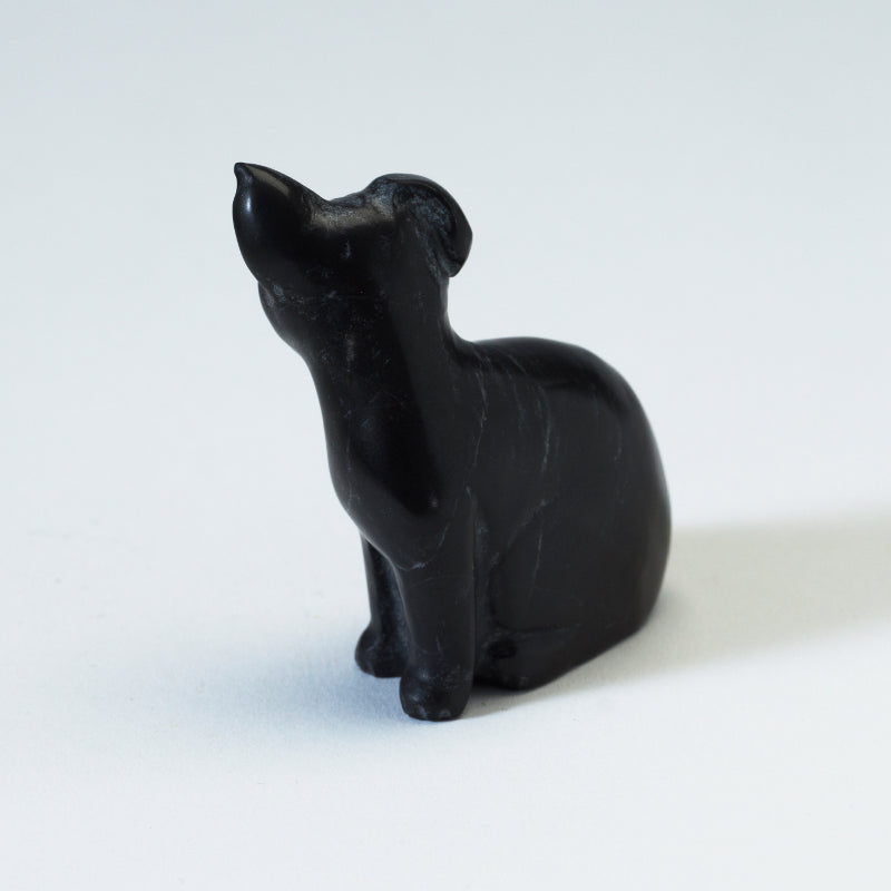 Cody Nastacio: Black Marble, Sitting Dog