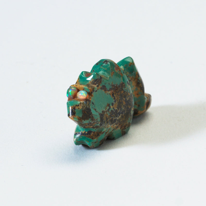 James Panteah: Kingman Turquoise, Fox