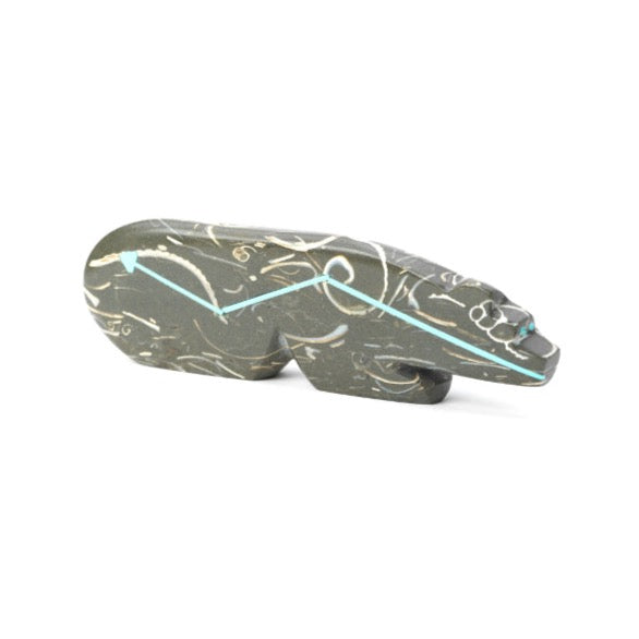 Brandon Laiwekate: Orthoceras Stone, Bear W/ Turquoise Heartline