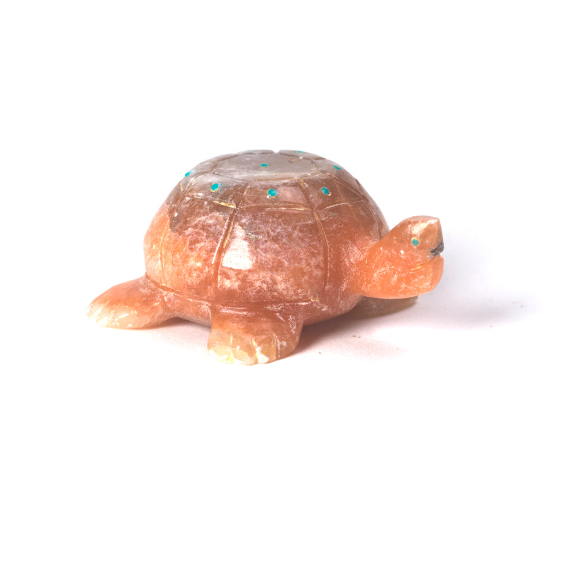 Dwight Quam: Peach Alabaster, Turtle