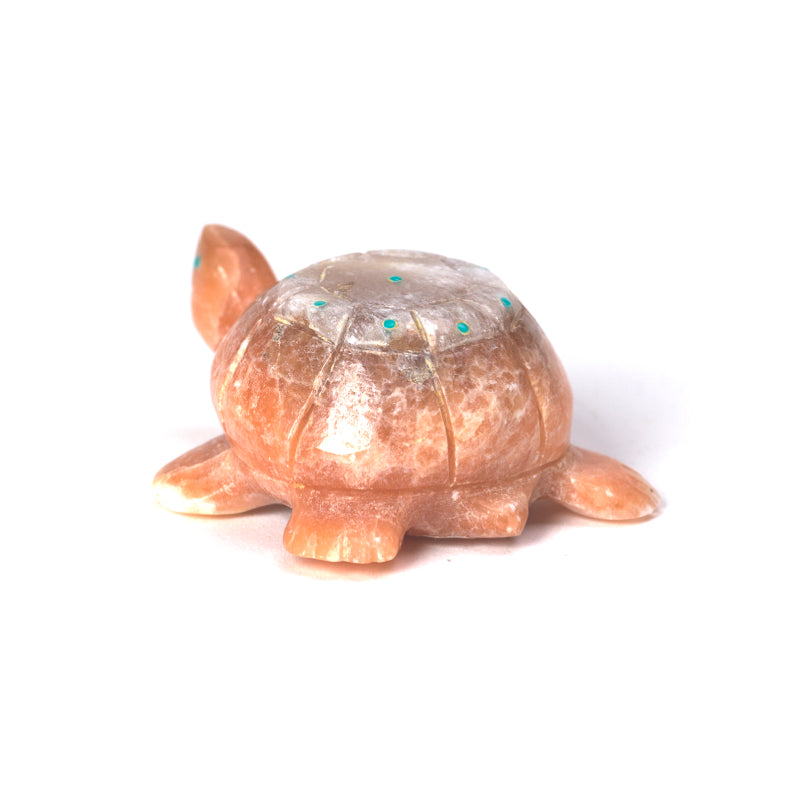 Dwight Quam: Peach Alabaster, Turtle