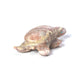 Keith Bobelu: French Chalk, Turtle