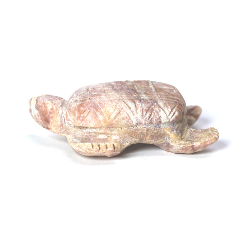 Keith Bobelu: French Chalk, Turtle