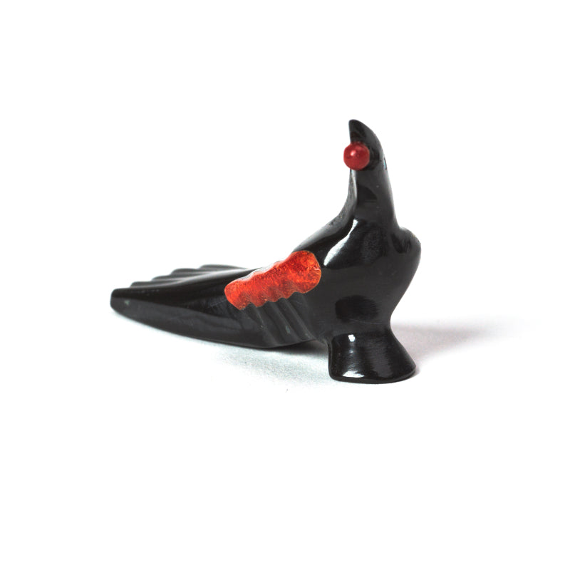 Calvert Bowannie: Black jet/Coral Wings, Magpie