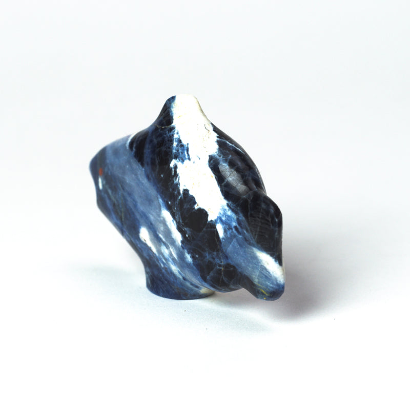 Leland Boone & Daphne Quam: Sodalite, Fish