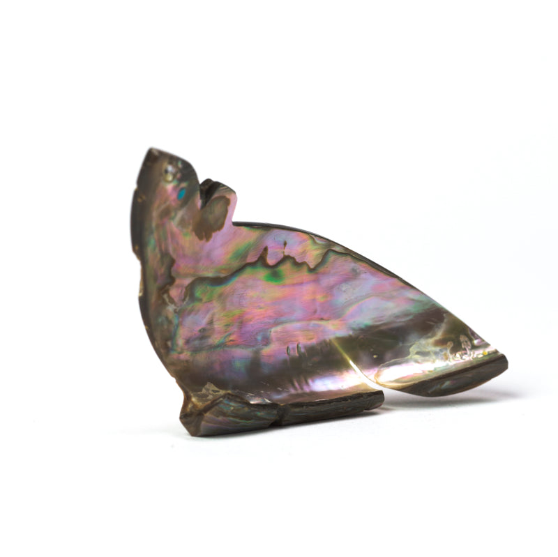 James Panteah: Abalone Shell, Fox