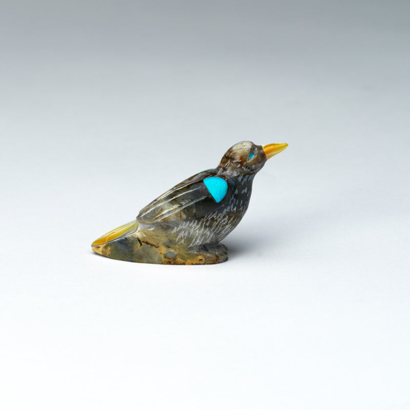 Freddie Leekya: Picasso Marble, Bird with Turquoise/ MOP