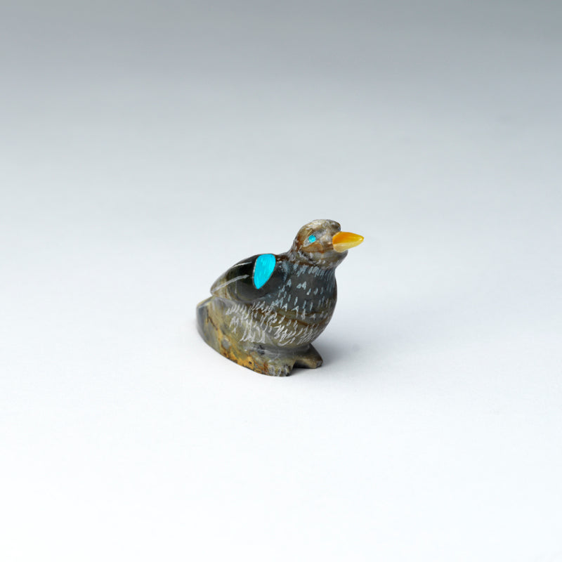 Freddie Leekya: Picasso Marble, Bird with Turquoise/ MOP