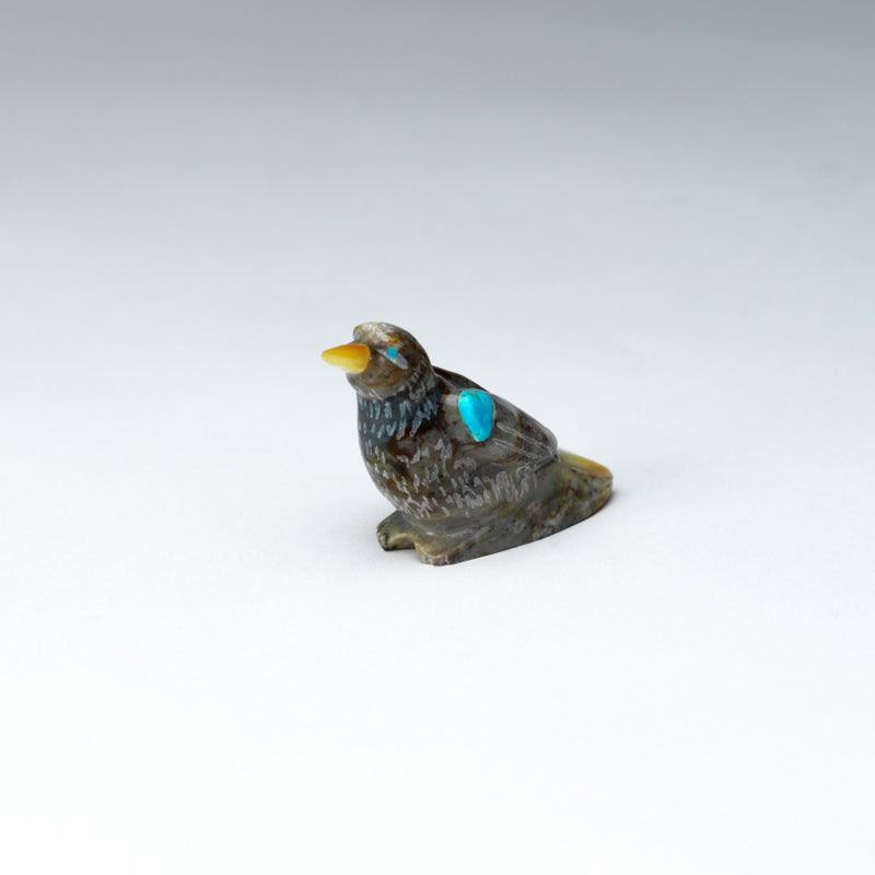 Freddie Leekya: Picasso Marble, Bird with Turquoise/ MOP