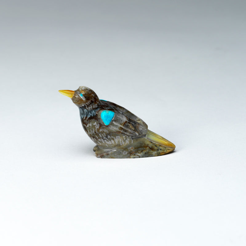 Freddie Leekya: Picasso Marble, Bird with Turquoise/ MOP