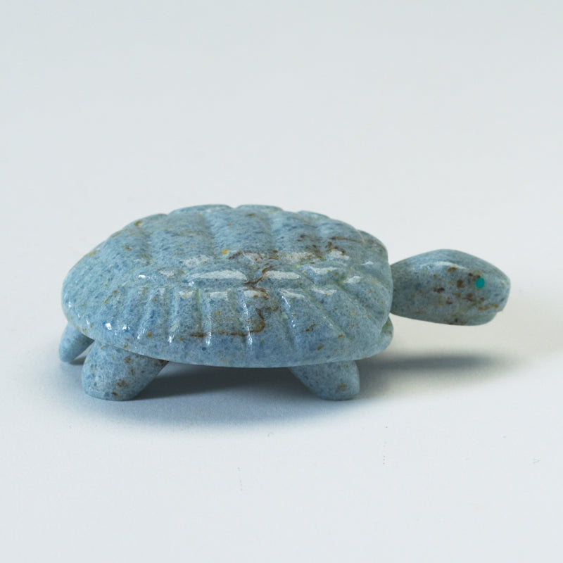 Silvan Panteah: Blue Calcite, Turtle