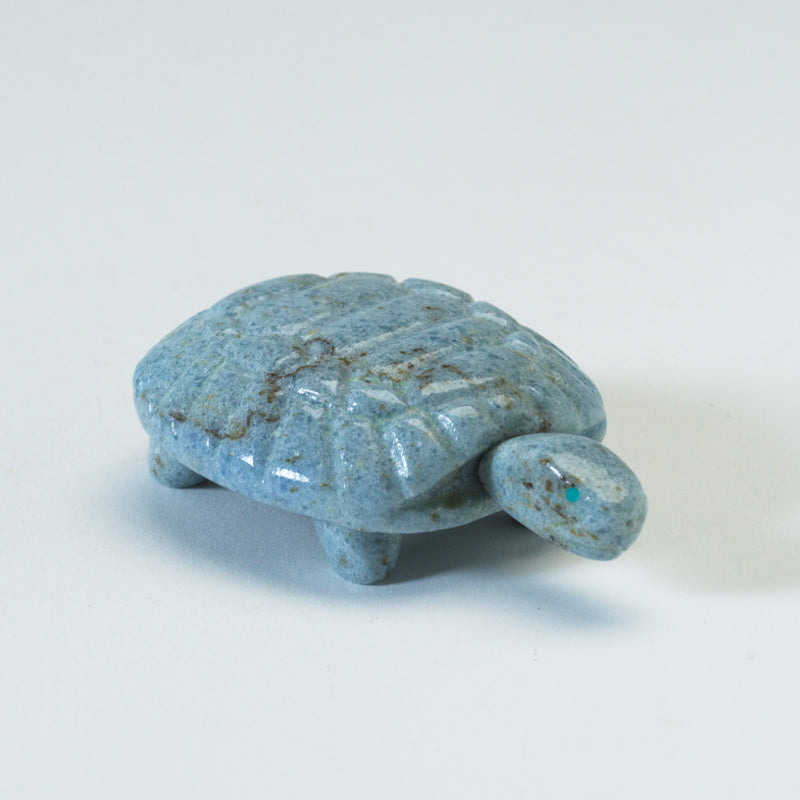 Silvan Panteah: Blue Calcite, Turtle