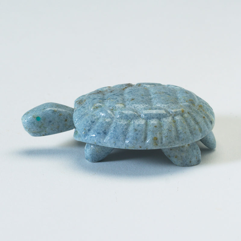 Silvan Panteah: Blue Calcite, Turtle