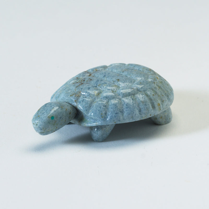 Silvan Panteah: Blue Calcite, Turtle