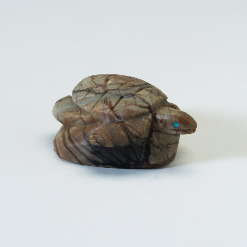 Michael Coble: Picasso Marble, Sea Turtle