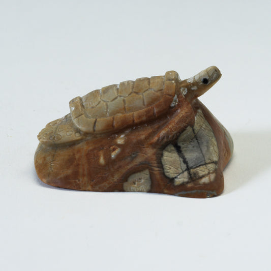 Michael Coble: Picasso Marble, Turtle on Rock