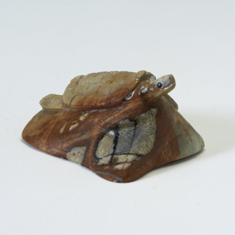 Michael Coble: Picasso Marble, Turtle on Rock