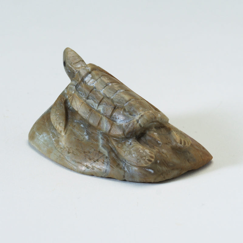 Michael Coble: Picasso Marble, Turtle on Rock