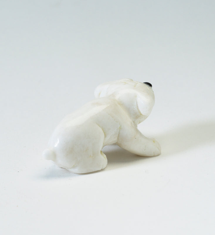 Cody Nastacio: White Marble, Bulldog