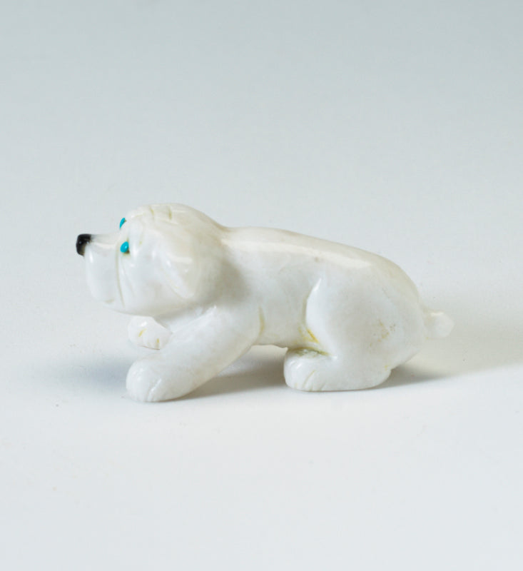 Cody Nastacio: White Marble, Bulldog