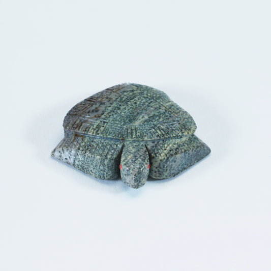 Vivella Cheama: Augite, Turtle