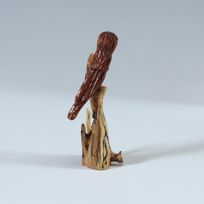 Ruben Najera: Cedar Wood, Owl on Branch