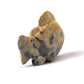 Clayton Panteah: Leopard Stone, Fish