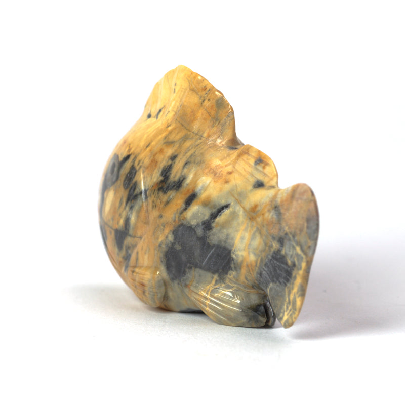 Clayton Panteah: Leopard Stone, Fish