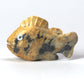 Clayton Panteah: Leopard Stone, Fish