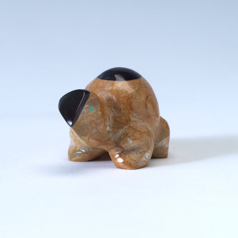 Enrike Leekya: Zuni Travertine, Turtle w/Penn Shell