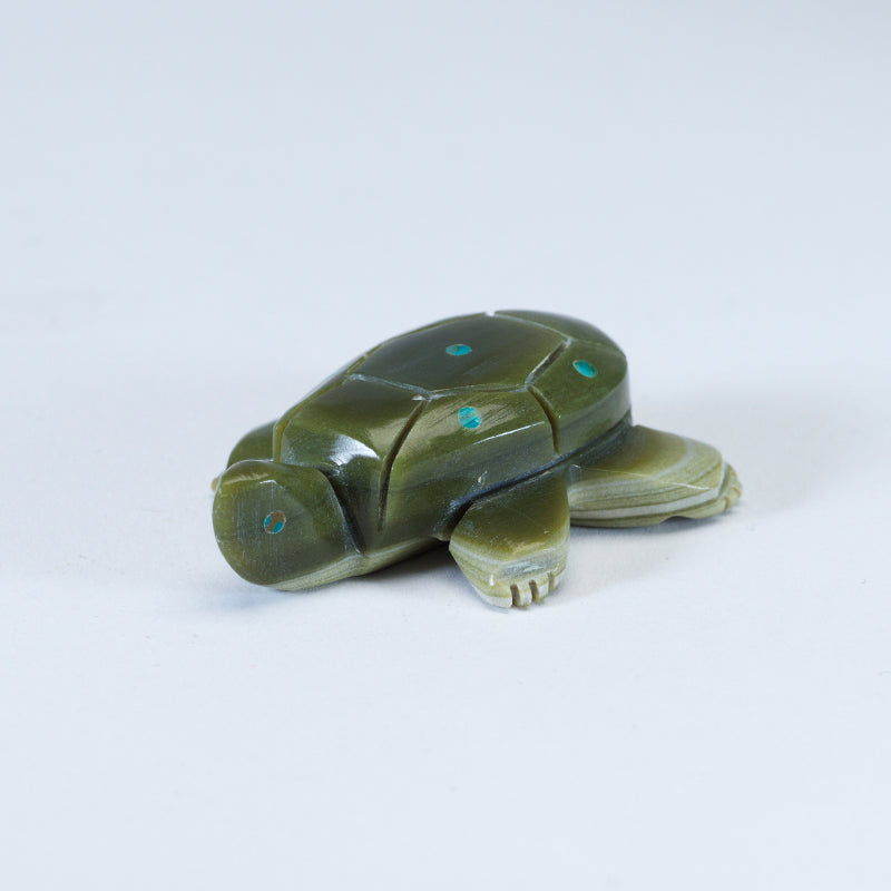 Daisy Natewa: Serpentine Turtle