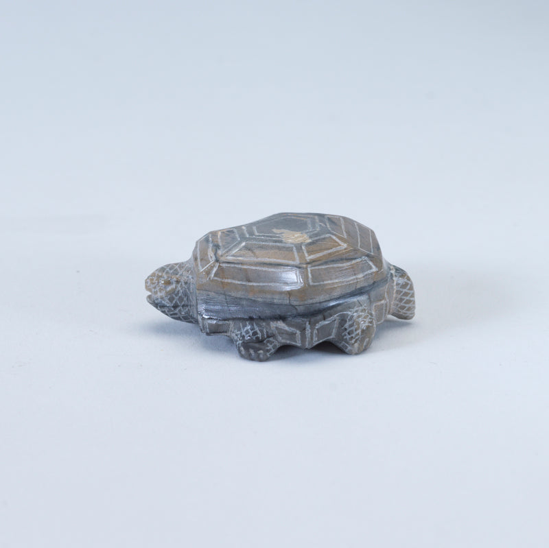 Derrick Kaamasee: Travertine, Turtle